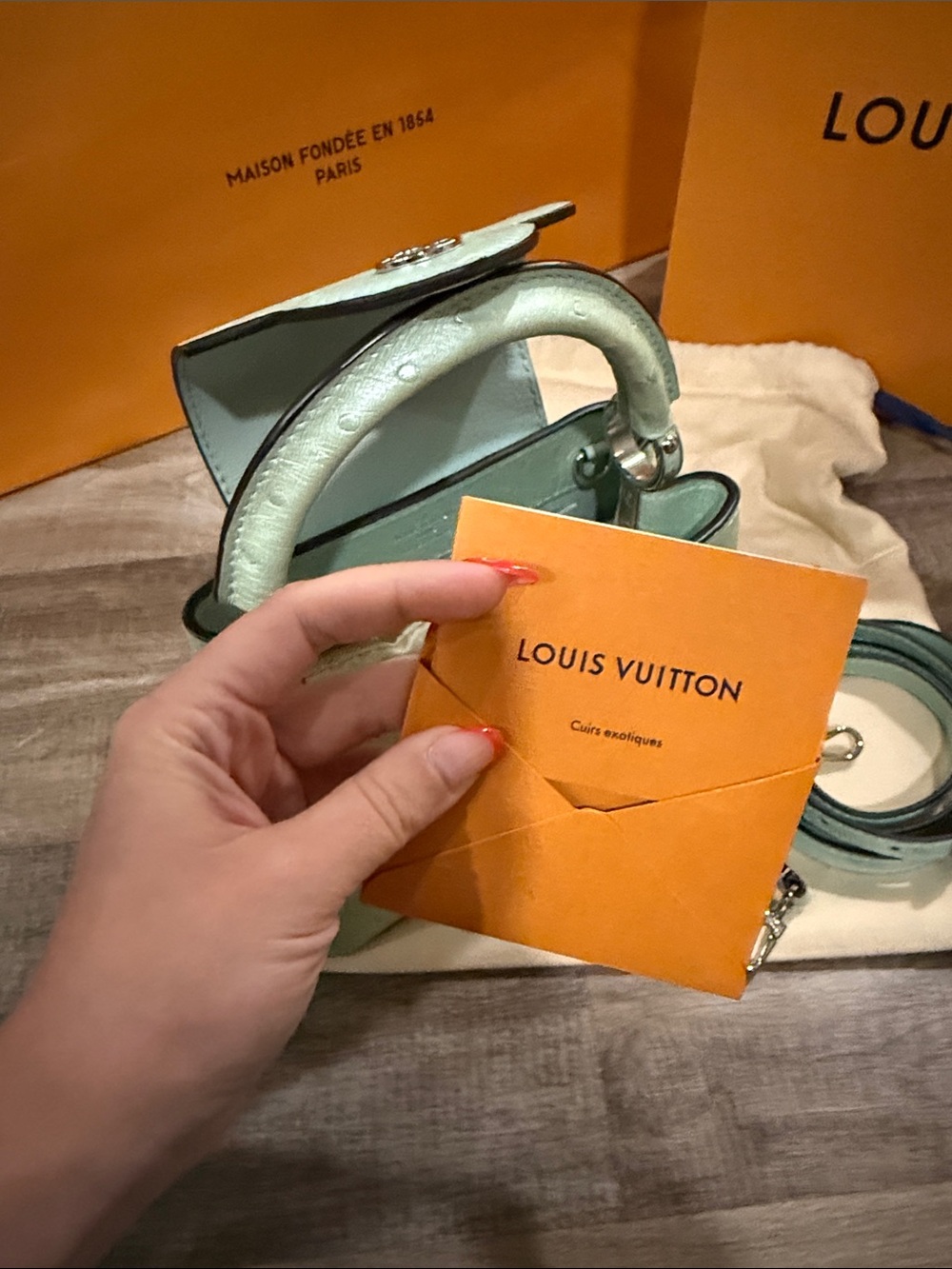 Louis Vuitton Capucines Mini Bag Exotic Ostrich in Mint Green - Picture 9 of 15
